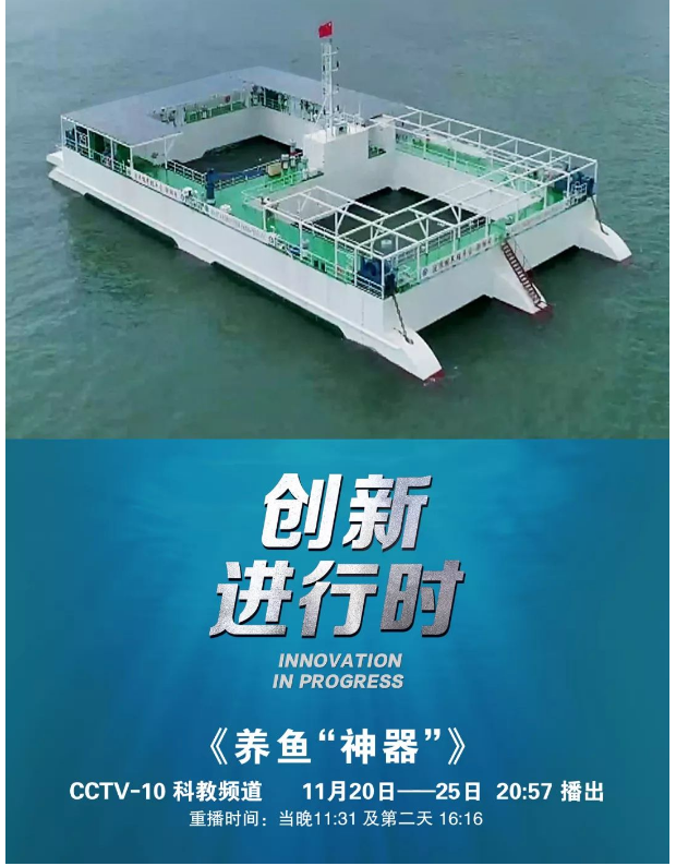 風(fēng)再猛、浪再大，都攔不住我養(yǎng)魚的雄心！